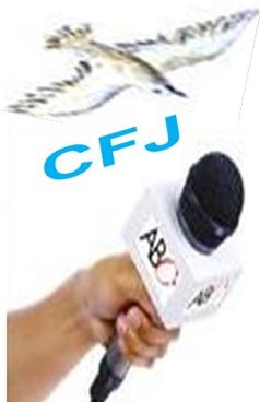 Appel d’offre : Le CFJ recrute deux avocats pour une mission de consultance